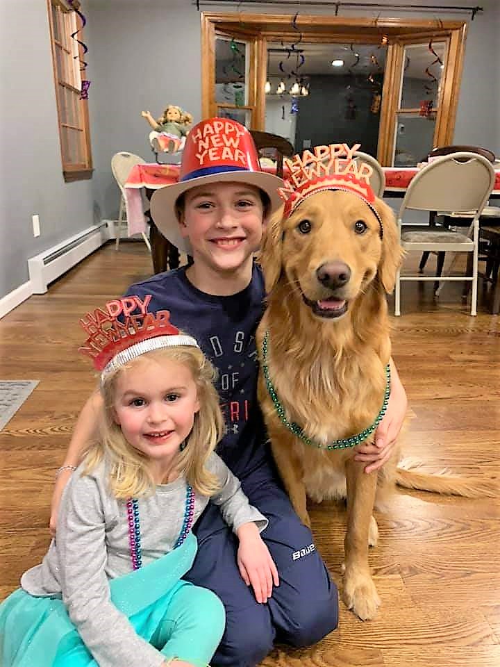 Gryffin (Shire x Jack) celebrating New Years with his best friends)